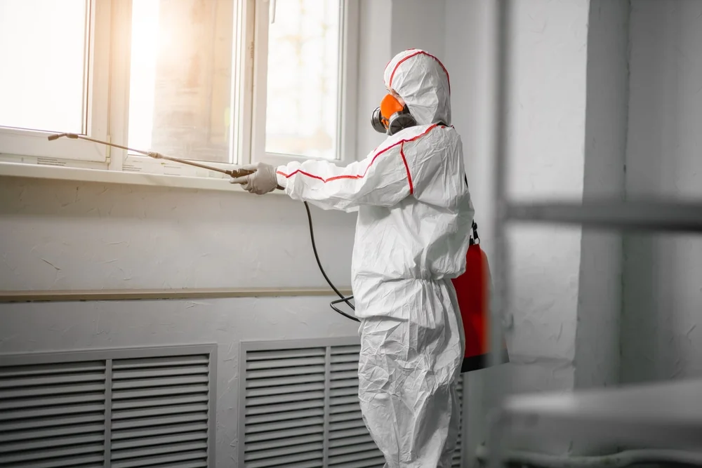 Professional mold remediation services in Montvale, NJ